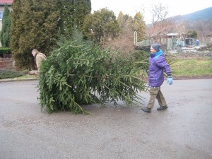 6 odstrojování stromečku 0901 2016